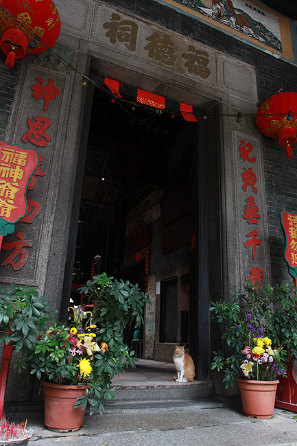 Макао, Экскурсия Храм А-Ма, Храм Фок Тхак Чхи (Macao, A-Ma Temple Route, Fok Tak Chi Temple)