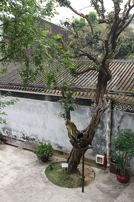 Макао, Экскурсия Храм А-Ма, Дом Мандарина (Macao, A-Ma Temple Route, Casa do Mandarim - Mandarin's House)