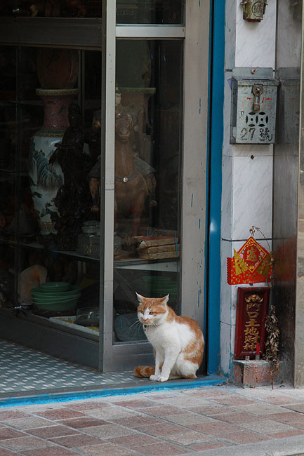 Макао, Экскурсия Храм А-Ма, Рядом с Площадью Largo do Lilau (Macao, A-Ma Temple Route, Near the Largo do Lilau)