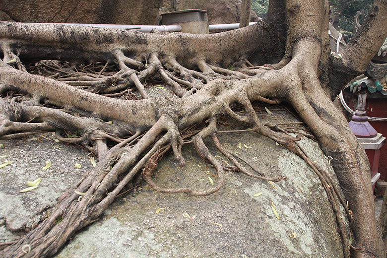 Макао, Экскурсия Храм А-Ма, Храм А-Ма (Macao, A-Ma Temple Route, Templo de A-Ma)