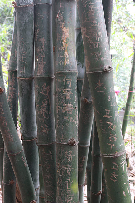 Макао, Экскурсия Храм А-Ма, Храм А-Ма (Macao, A-Ma Temple Route, Templo de A-Ma)
