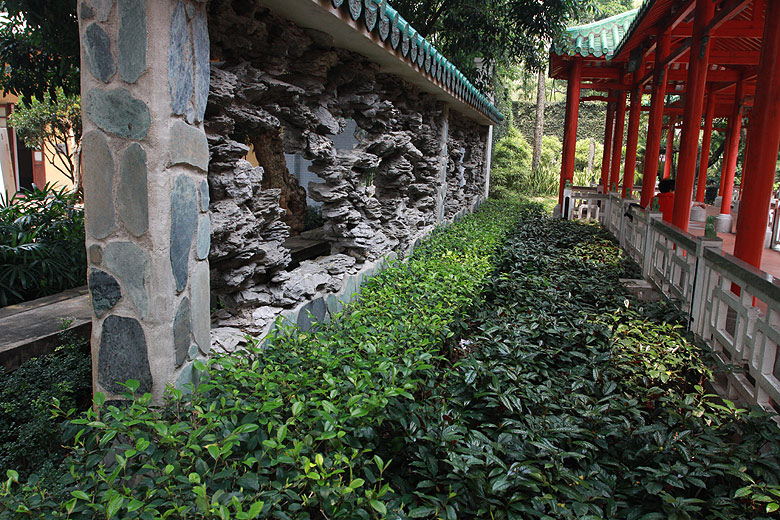 Макао, Экскурсия Холм Гия, Сад Лоу Лим Иёк (Macao, Guia Hill Route, Jardim Lou Lim Ieoc - Lou Lim Ieoc Garden)