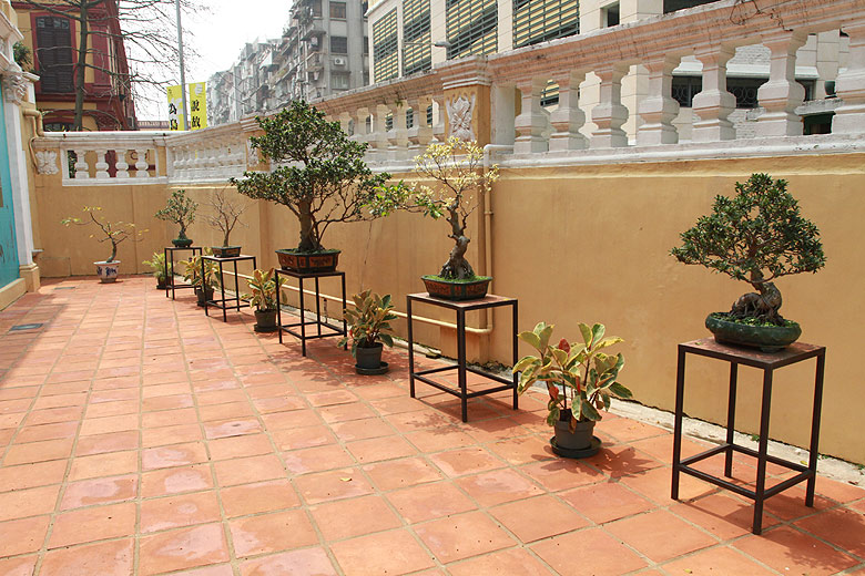Макао, Экскурсия Холм Гия, Чайный дом (Macao, Guia Hill Route, Casa Cultural de Cha de Macau - Macao Tea Culture House)