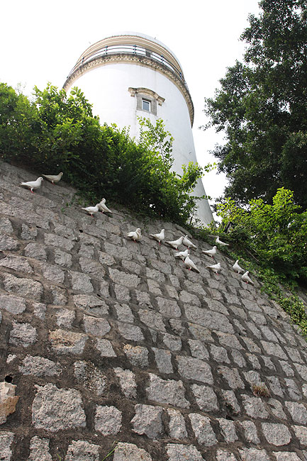 Макао, Экскурсия Холм Гия, Знаки тропических циклонов (Macao, Guia Hill Route, Tropical cyclone signs)
