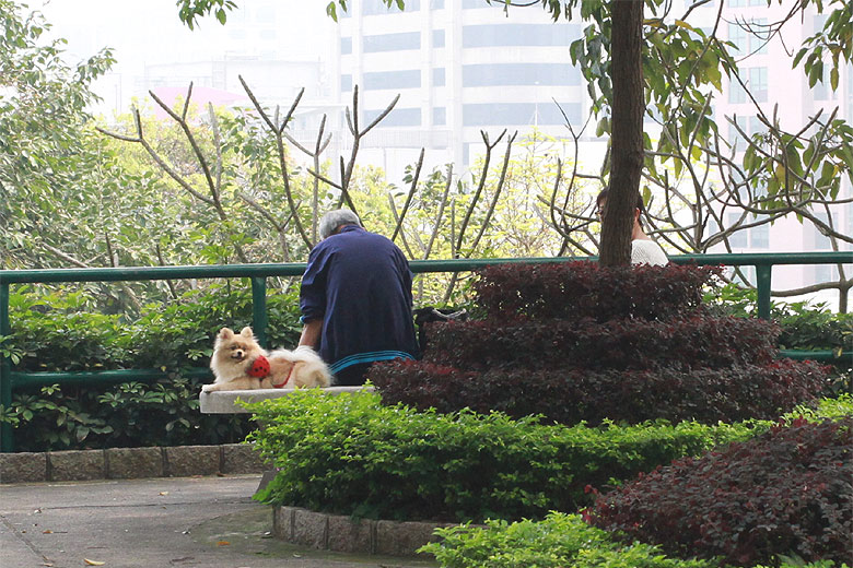 Макао, Экскурсия Холм Гия, Около дома Мануэла да Сильва Мендеса (Macao, Guia Hill Route, Near the Dr. Manuel da Silva Mendes)