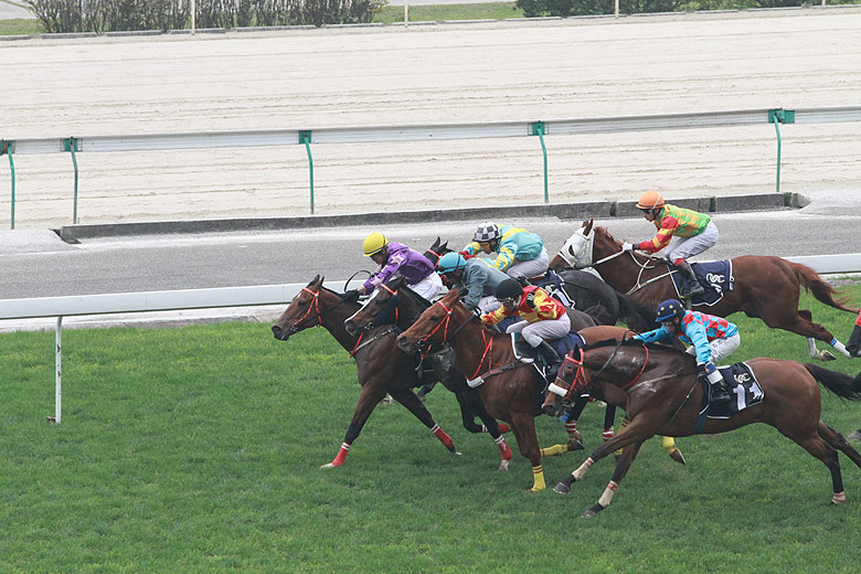 Макао, Скачки (Macao, Horse Racing)