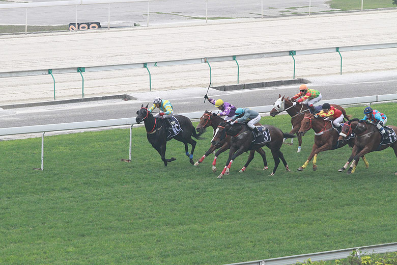 Макао, Скачки (Macao, Horse Racing)