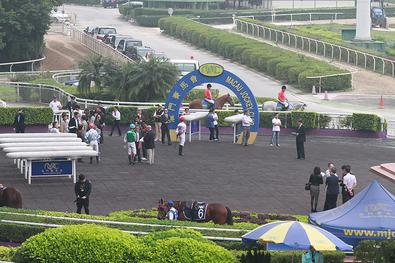 Макао, Скачки, Парадное кольцо (Macao, Horse Racing, Parade Ring)
