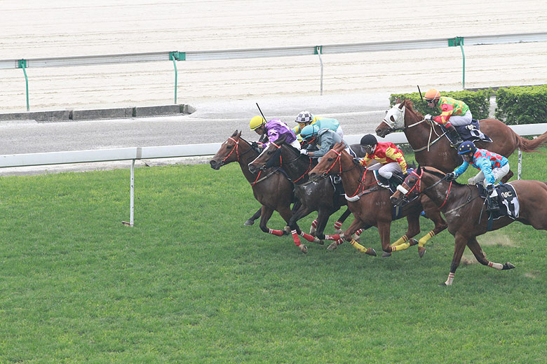 Макао, Скачки (Macao, Horse Racing)