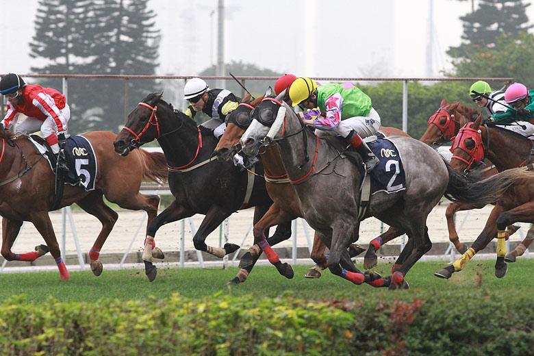 Макао, Скачки (Macao, Horse Racing)