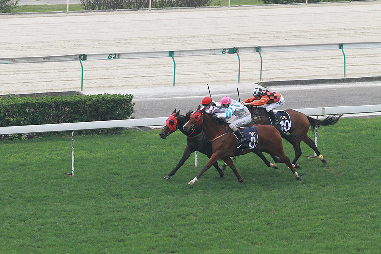 Макао, Скачки (Macao, Horse Racing)