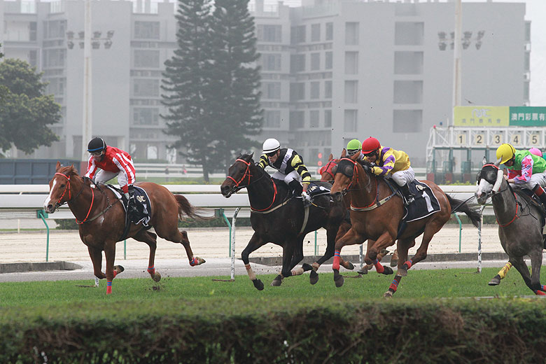 Макао, Скачки (Macao, Horse Racing)