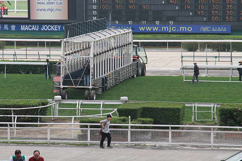 Макао, Скачки, Подготовка к заезду (Macao, Horse Racing, Preparation for racing)