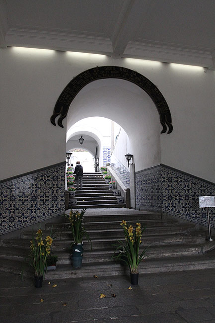 Фото. Leal Senado