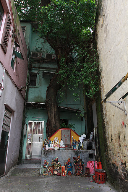Макао, Экскурсия по Тайпе, Рядом с Храмом Квунь Ям (Macao, Taipa Route, Near the Kun Yam Temple)